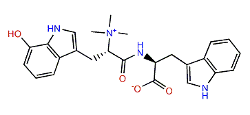 Dactylamide A